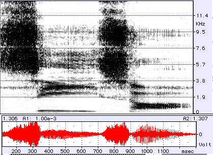 A spectrogram of the sound of someone speaking the word sees